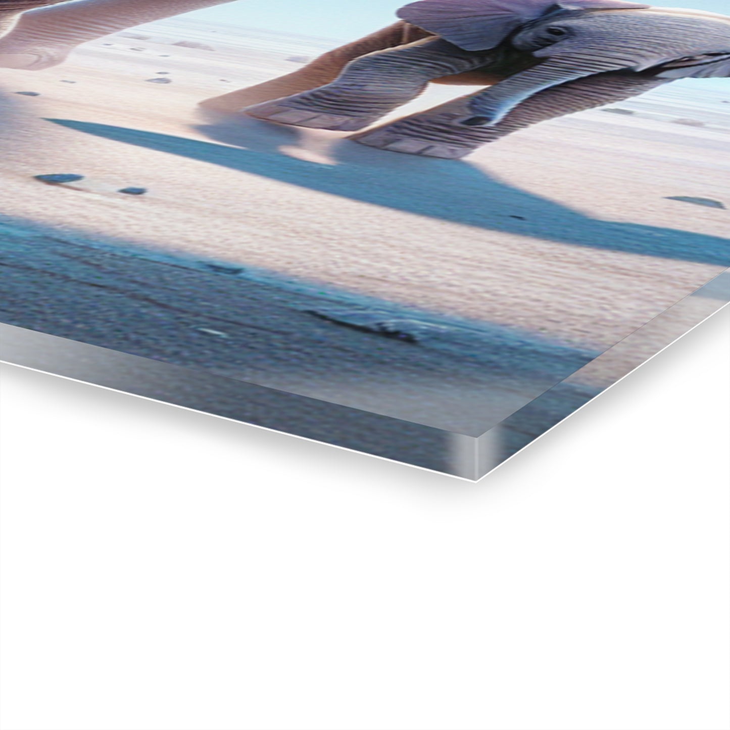 Acrylic Prints (French Cleat Hanging)