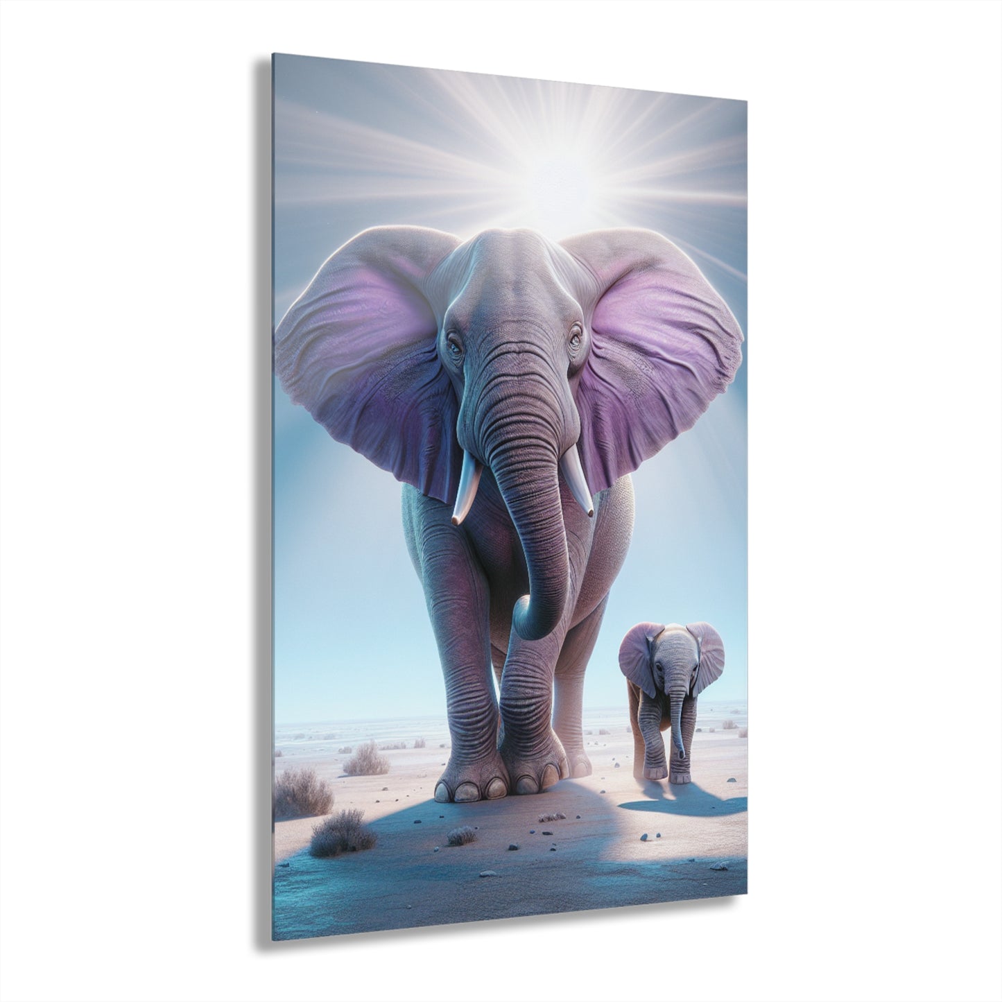 Acrylic Prints (French Cleat Hanging)